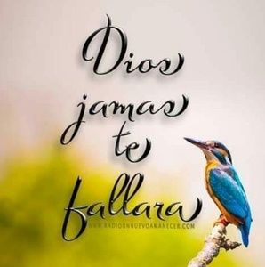 Meet your Posher, Alder